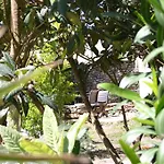 Perla Di Macchia 3*