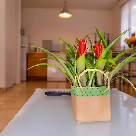 Perla Di Macchia Semesterpark